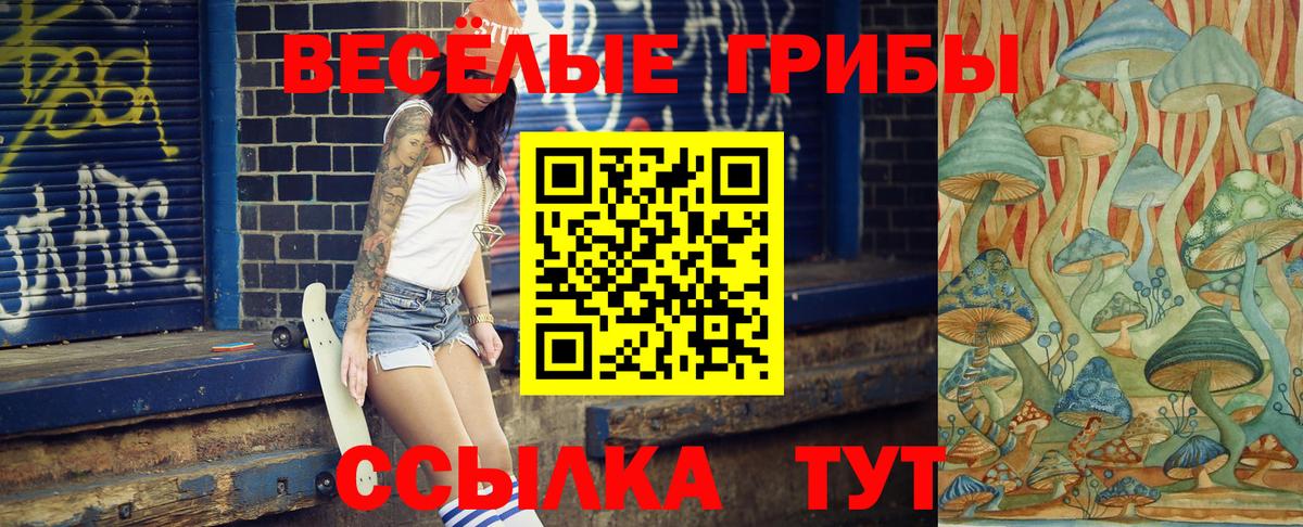 Бийск  Псилоцибиновые грибы GOLDEN TEACHER  Вход с VPN 